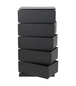 Redin Design Schoenenkasten|Ladenkasten|Schoenenkast industrieel Rodman (5 lades) – Zwart metaal