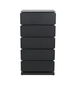 Redin Design Schoenenkasten|Ladenkasten|Schoenenkast industrieel Rodman (5 lades) – Zwart metaal