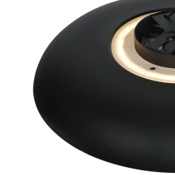 Steinmex Plafondlampen|Sean 2-lichts Plafondlamp Zwart|Goud Metaal
