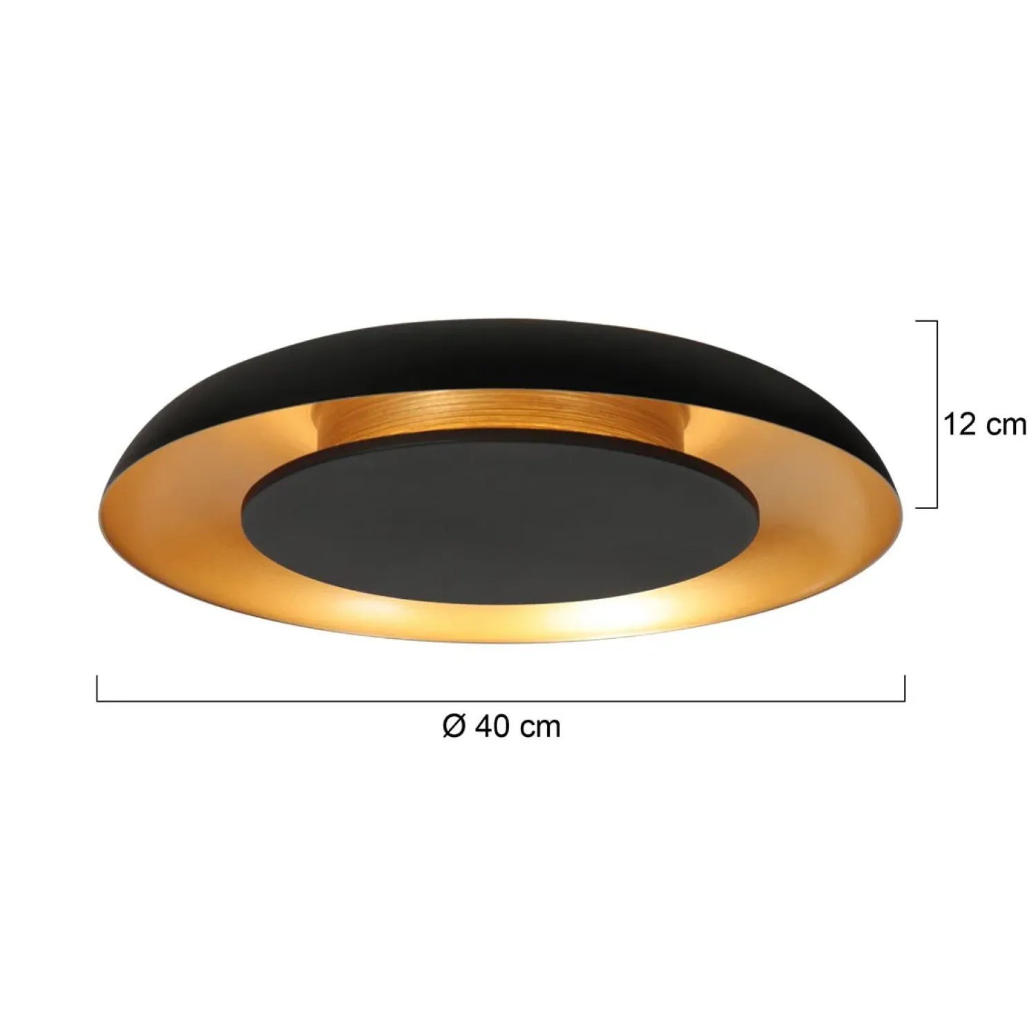Steinmex Plafondlampen|Sean 2-lichts Plafondlamp Zwart|Goud Metaal