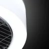 Trading Lighting Plafondlampen|Plafonnieres|The Fan no. 5 Plafondventilator/lamp antraciet - opal