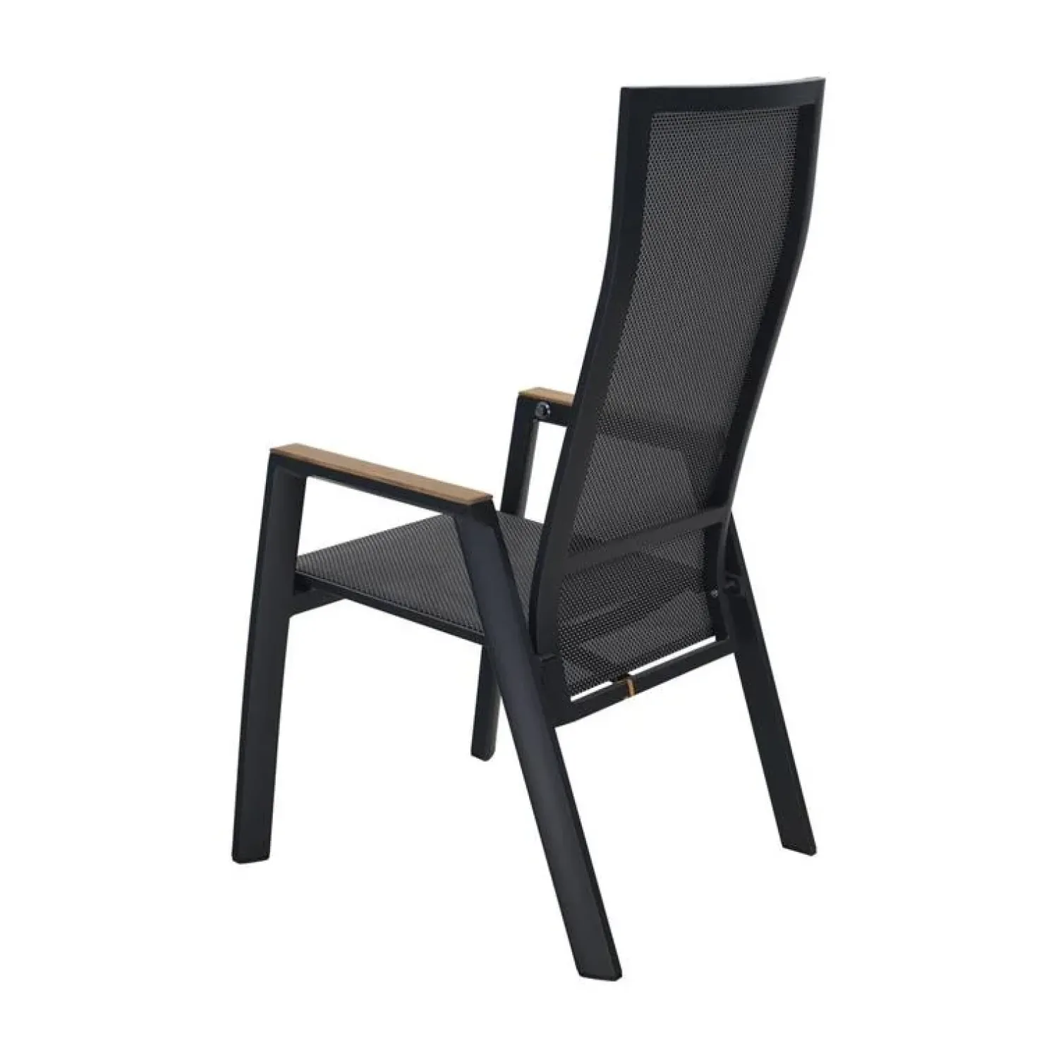 Lesli Living Tuinstoelen|Tuinstoel Amir Teak Noir