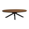 Lesli Living Tuintafels|Tuintafel Arezzo ovaal 240cm