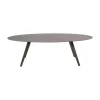 Lesli Living Tuintafels|Tuintafel Mojito Ceramic Pardo ovaal 240cm