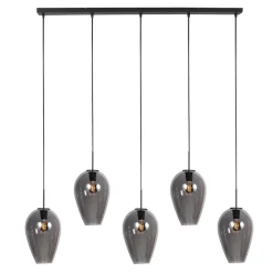 Steinmex Hanglampen|Glazen Hanglamp|Zavi 5-lichts Hanglamp XL Smoke Langwerpig
